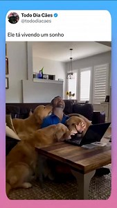 Memes Brasil on Reels