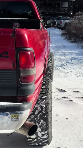 Understanding Hibernation in Older Animals