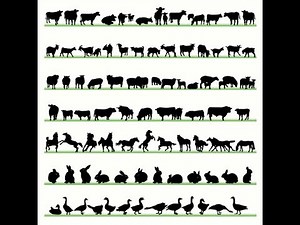 Jacob's Impressions: Animal Sounds