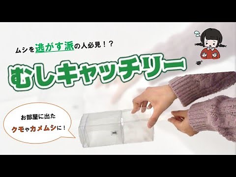 お家の虫に困っているあなたへ【むしキャッチリー PV】