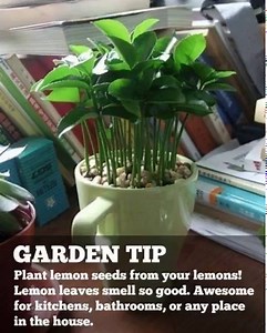 Such a Great idea!! has anyone tried this? 🌿🦋🌿 Visit us: www.myincrediblerecipes.com | Recipes From Heaven