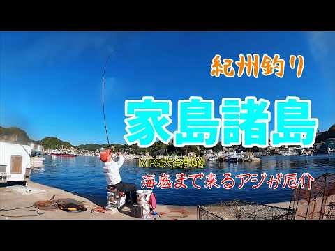 E100紀州釣り「MFG試釣 海底まで来るアジに翻弄されて」 26.5.30Sat