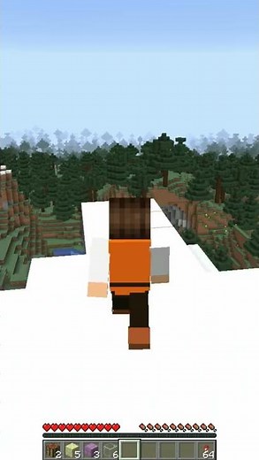 Glass Elytra !?【minecraft】 #Shorts