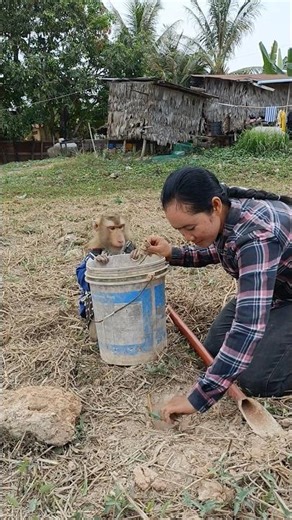 Monkey SokYaa vs Water Spray Challenge#MonkeyChallenge #SokYaaFunny #ViralMoment