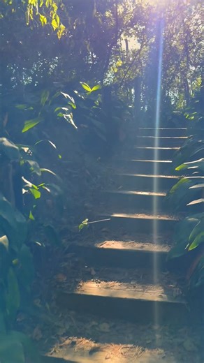 2.6K views · 60 reactions | Mercer Botanical Gardens in Texas | yaboyruns | Facebook