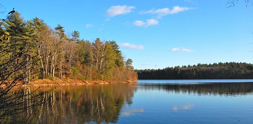 What ‘Walden’ can tell us about social distancing and focusing on life’s essentials