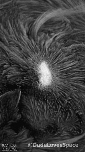 This is a Sunspot ☀️ Extreme Close-Up Captured with my Solar Telescope #space #sun #astronomy