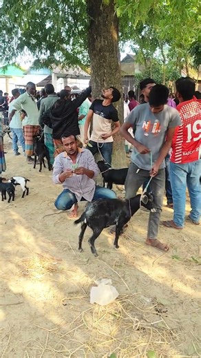 Goat rope cut and sold😂😂#trending #funny #viralvideo