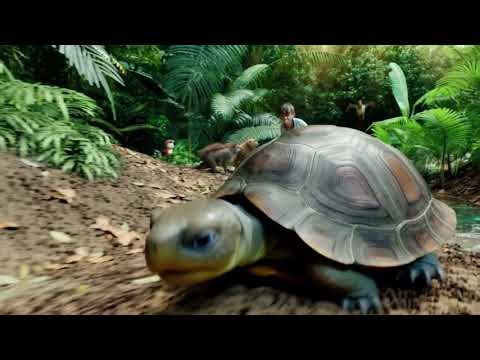 🐢🌿 **Join the Adventure: Turtle Ride in the Enchanted Jungle! ** 🌿🐢