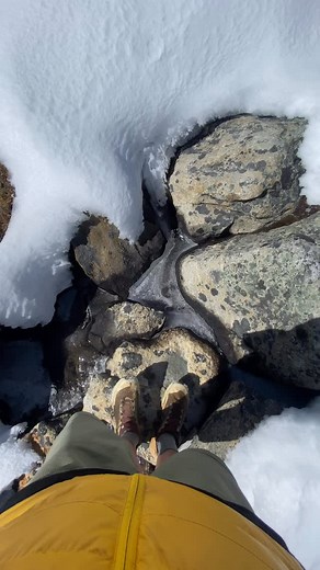 Bryn Morgan on Reels