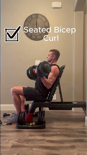 Seated Bicep Curl #fitness #athomeworkouts #athomeoworkout #fitnessmotivation #fit #exercise