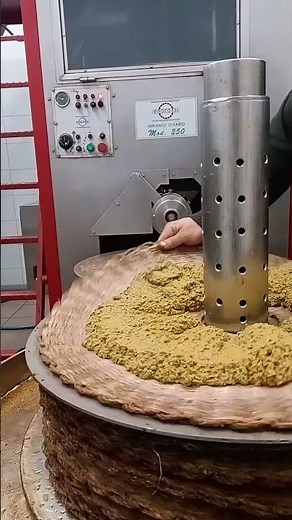 How is olive oil really made? #viralvideo #factsvideo #aliveoil #shortvideo