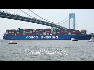 Colossal Container Ships (1201ft) Verrazzano-Narrows Bridge Brooklyn NY 2025
