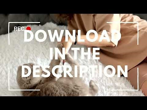 Full Version Total AV Antivirus: Download & Free Installation & Total AV Antivirus 2023 Crack