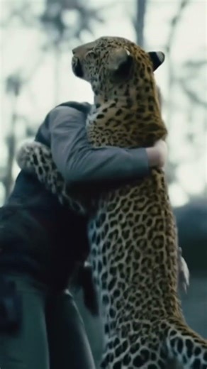 leopard 🐆 tutorial for beginners