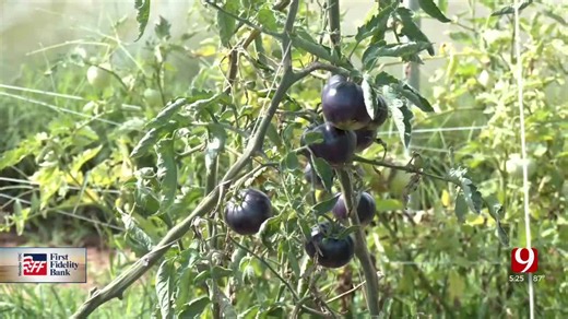 Natural Freedom Farm Spreading The Health To Food Insecure Children