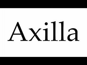 How to Pronounce Axilla