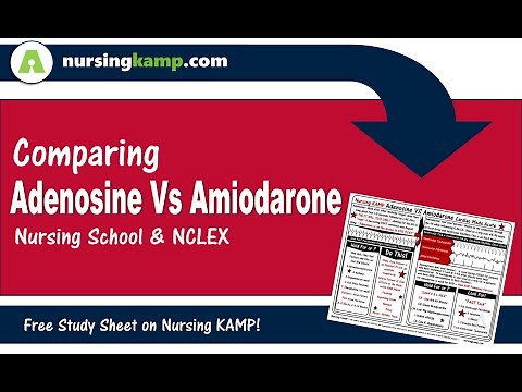 What is the difference Amiodarone Adenosine Cardiac Med Nursing KAMP NCLEX 2019 ICU