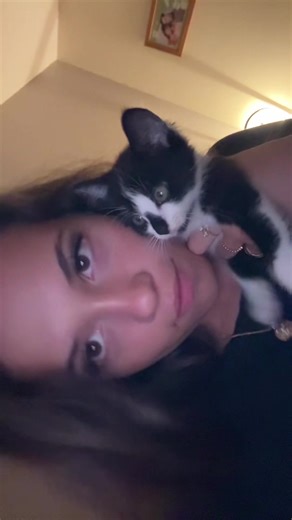 Vidéos de clem (@cl.prra) avec son original - 🇵🇸