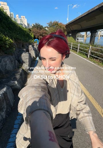 So pretty and less crowded on the north side of the river ✨💕 #seoul #korea #seoultrip #koreatravel #koreafyp