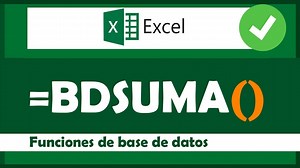 Función BDSUMA en Excel