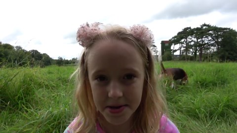 Beagle waits anxiously for heart surgery update