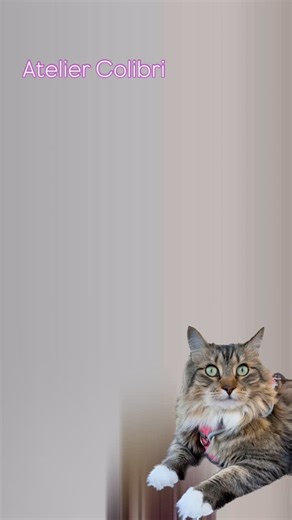 ✨ A unique costume with a one-of-a-kind story ✨ This look is inspired by our client’s beloved pet — her enchanting kitty 🐾💗 We transferred the features of her fluffy friend directly into the design, so he’s always with her, even on stage. Every detail, every crystal, and every shade isn’t just decoration — it’s a piece of love 🐱✨ How do you like such a personalized approach? 😍 #cat #lover #leotard | Leotards & Maillots Аtelier "Colibri" Пошив купальников для гимнастики.