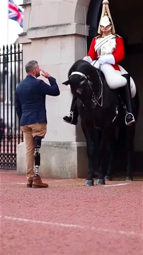Respect Moments with the King Guard Horse