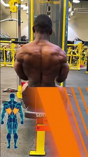 SEATED CABLE ROW (muscles worked)