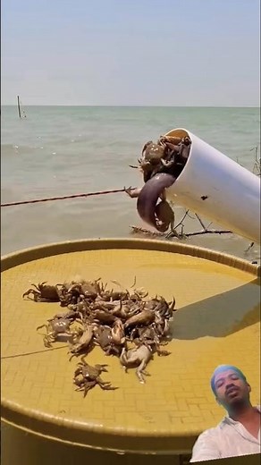 Incredible Gadgets and Tools Unveiled! 🔥✨ #shorts #Tech2025 83