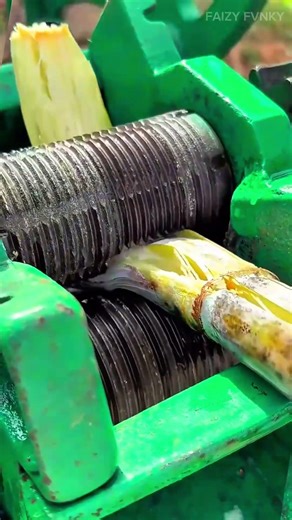 This machine grinds fresh sugar cane stalks to squeeze out sweet juice that is ready to drink