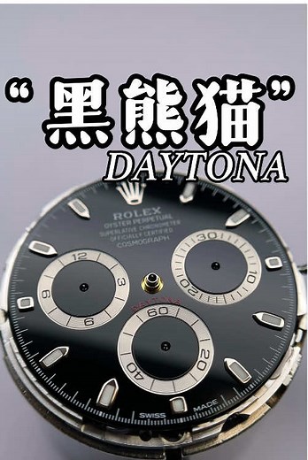 Rolex Daytona Panda Dial Watch Maintenance Tips