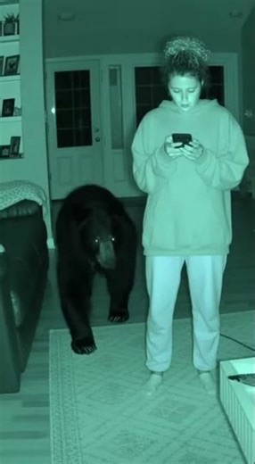 Woman Using Phone When Bear Sneaks Into Her House!