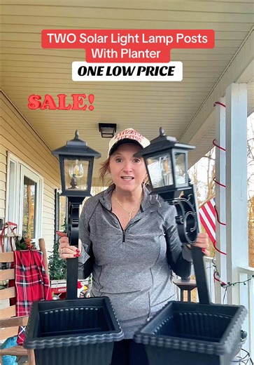 Elevate your porch decor! This price is for TWO of these gorgeous solar lamp posts with planters. Perfect addition to your decor on your porch or landscaping. The smaller size is great for small patios or balconies in an apartment as well. Get them before they are gone ! #apartmentdecor #solarlight #solarlamppost #porchdecor