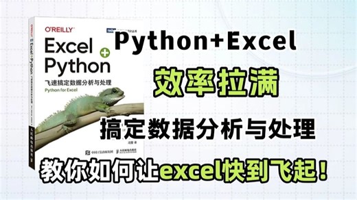封神之作！《Excel Python飞速搞定数据分析与处理》建议想学Python的同学，都去死磕这本书！（数据分析|Python|Excel|数据处理教程）