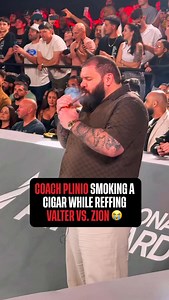 Rainbow reticulated python is glowing 🤩