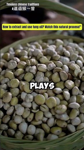 Watch this natural process for extracting Tung oil and use #TungOil #woodfinishing #ecofriendly