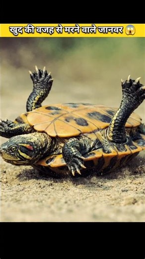 Animals That Causes Their Own Death 😱 Part 2
