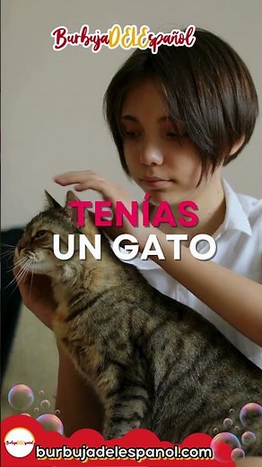 ¡Domina el verbo "Tener" en español! Aprende a usarlo en pasado, presente y futuro con ejemplos 🇪🇸