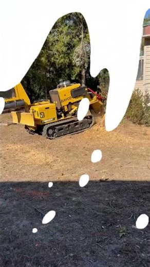 Complete tree care, done right 🌳