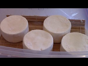 Making Brie Cheese Part 2