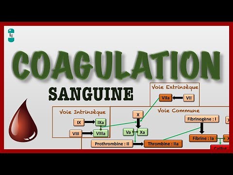 Blood Coagulation or Hemostasis and its Cascade: Intrinsic, Extrinsic, Common Pathway