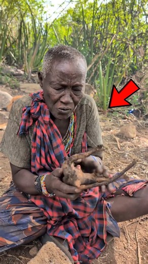 Why Tribes Are Now Afraid of Animals?