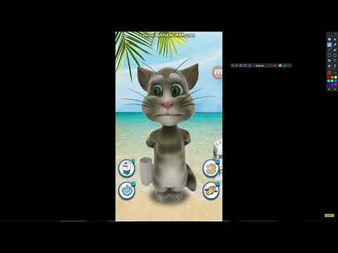 Talking Cat Free GamePlay