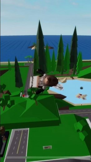 How to fly in Brookhaven
