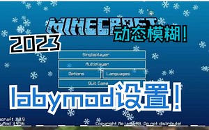 我发布了我的labymod设置