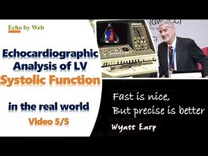 Echocardiographic analysis of LV systolic function_05