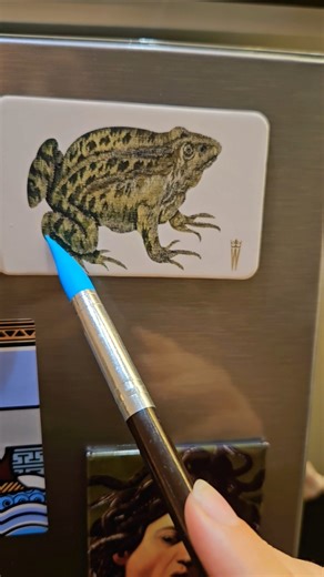 ASMR tracing frog, repeating words, lofi, calm repetition, tapping, eyes, magnet, stuttering sutter