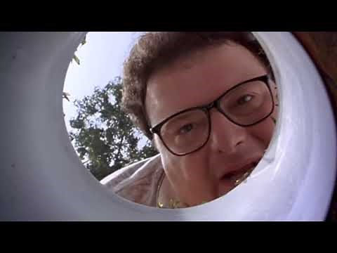 pov: ur Michael Jordan in space jam and u just fell in the golf hole