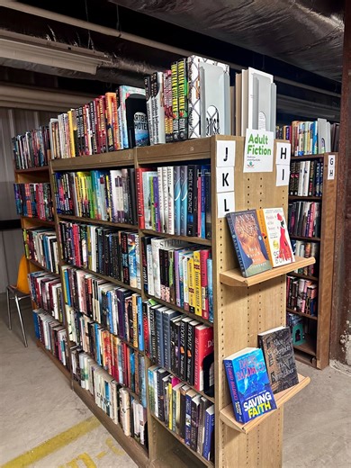 Fayetteville Free Library hosts annual Basement Book Sale